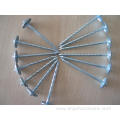 Roofing Nail with Umbrella Head in Electro Galvanized